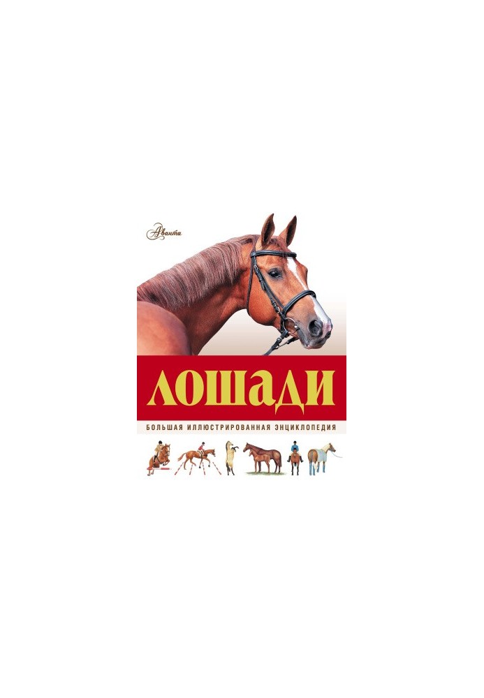 Лошади. Большая иллюстрированная энциклопедия