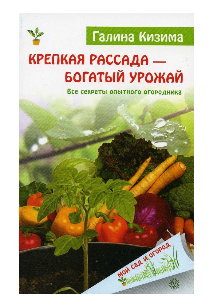 Міцна розсада – багатий урожай. Усі секрети досвідченого городника