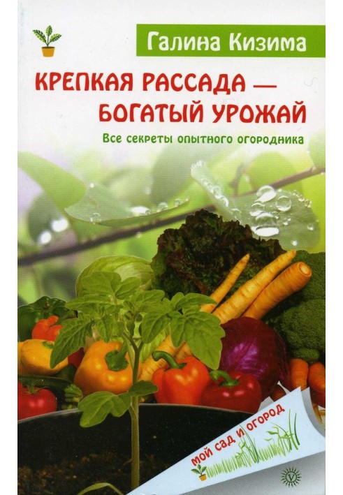 Міцна розсада – багатий урожай. Усі секрети досвідченого городника