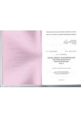 Business valuation and formation of project financing system