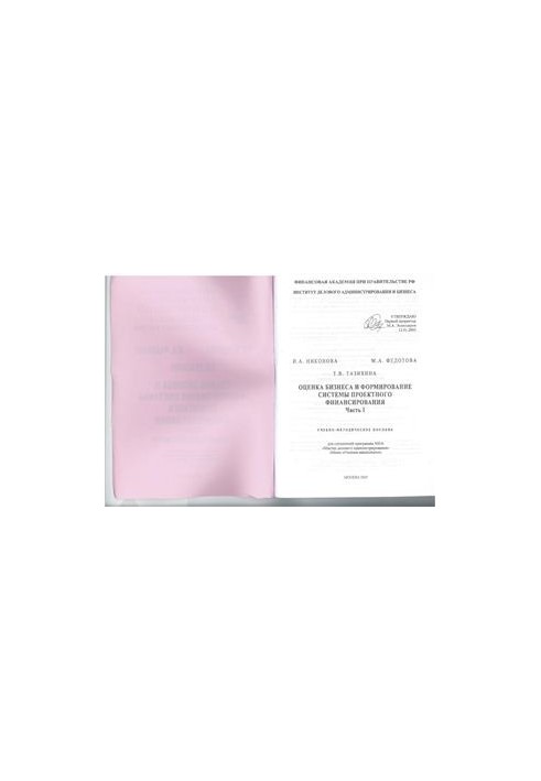 Business valuation and formation of project financing system