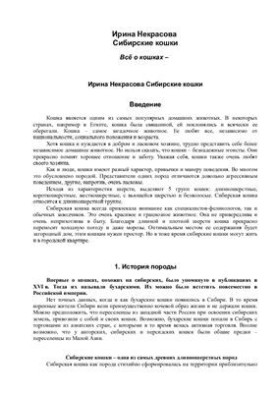 Сибирские кошки