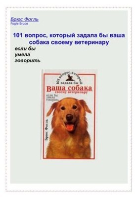 101 вопрос, который задала бы ваша собака своему ветеринару, если бы умела говорить