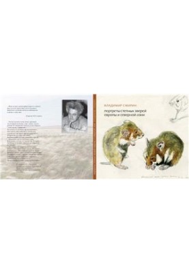 Portraits of steppe animals of Europe and North Asia