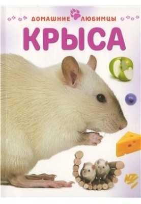 Щур