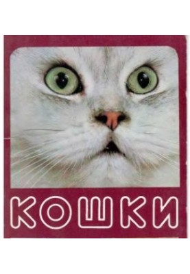 Набір листівок - Коти