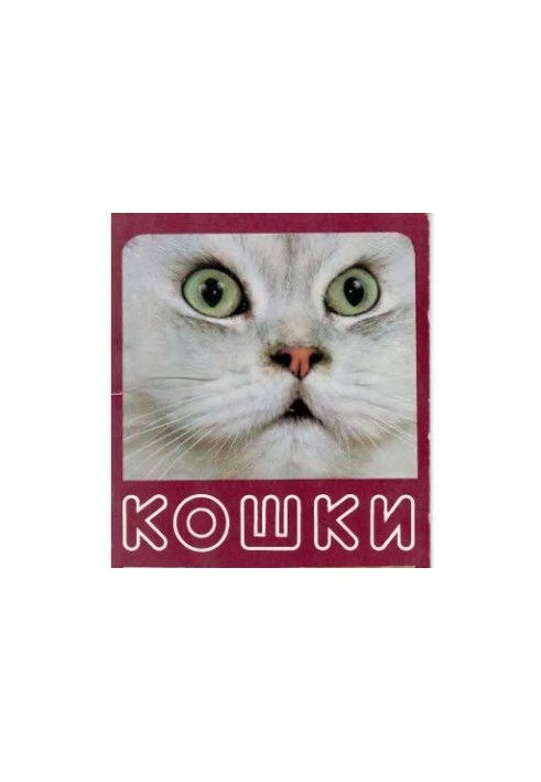 Набір листівок - Коти