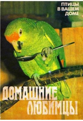 Домашні улюбленці. Птахи у вашому домі