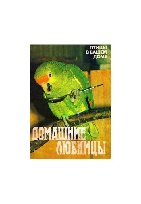 Домашні улюбленці. Птахи у вашому домі