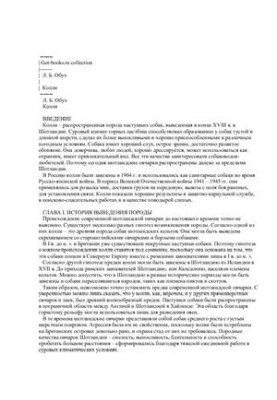 Коллі