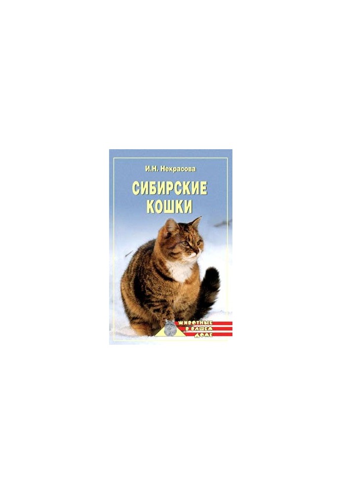 Сибирские кошки