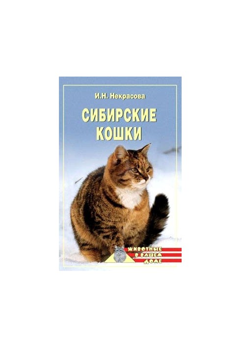 Сибирские кошки