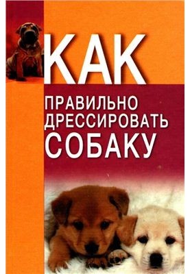 Как правильно дрессировать собаку