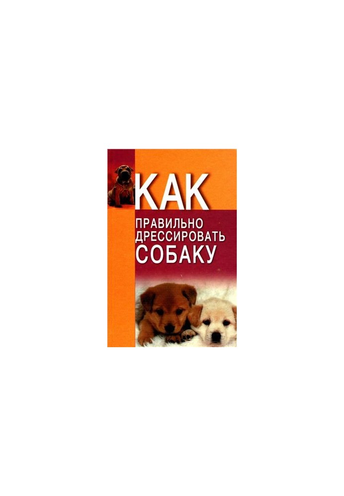 Как правильно дрессировать собаку