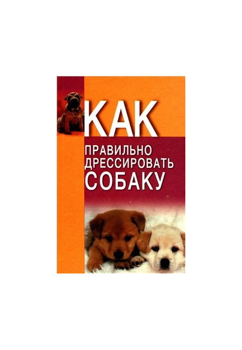 Как правильно дрессировать собаку