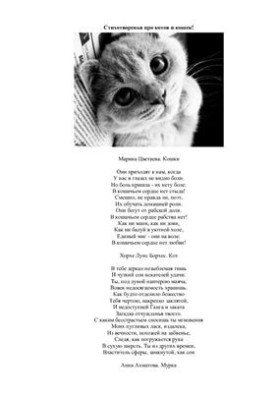 Сборник стихотворений про котов и кошек