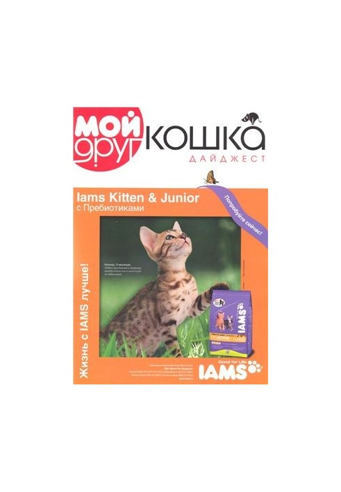 Мой друг кошка 2010 Дайджест