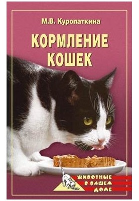 Feeding Cats