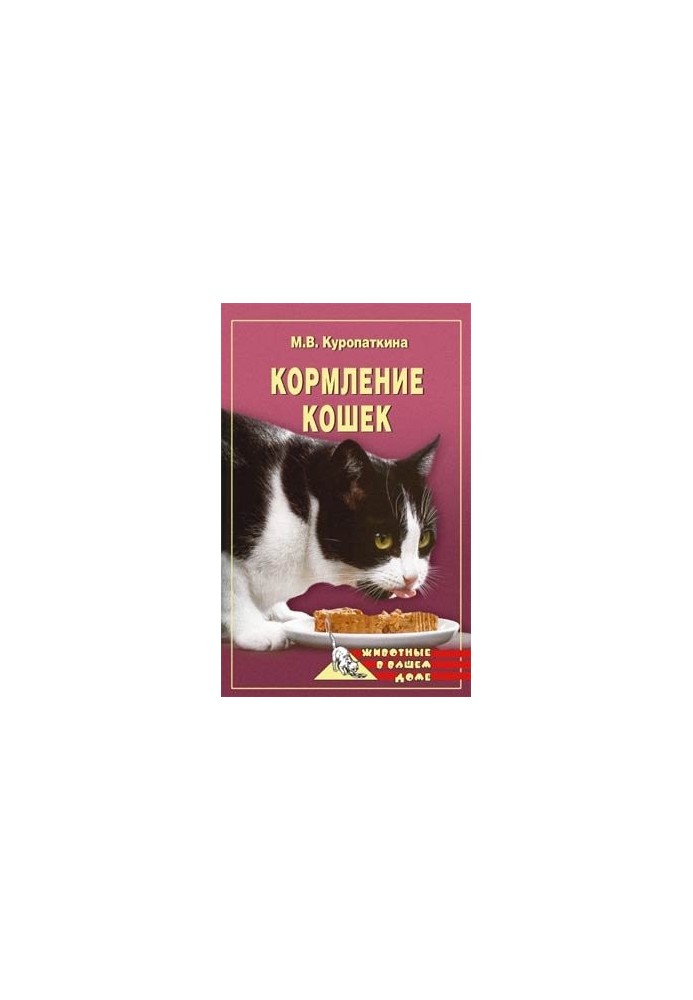 Feeding Cats