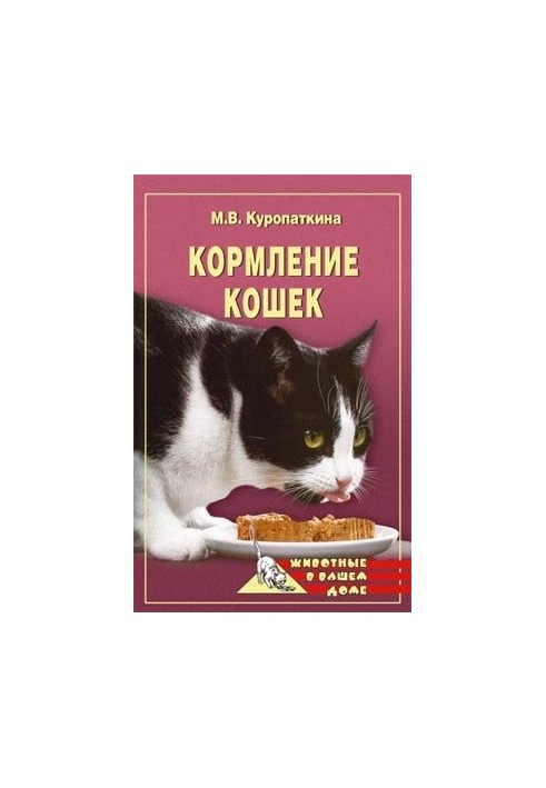 Feeding Cats