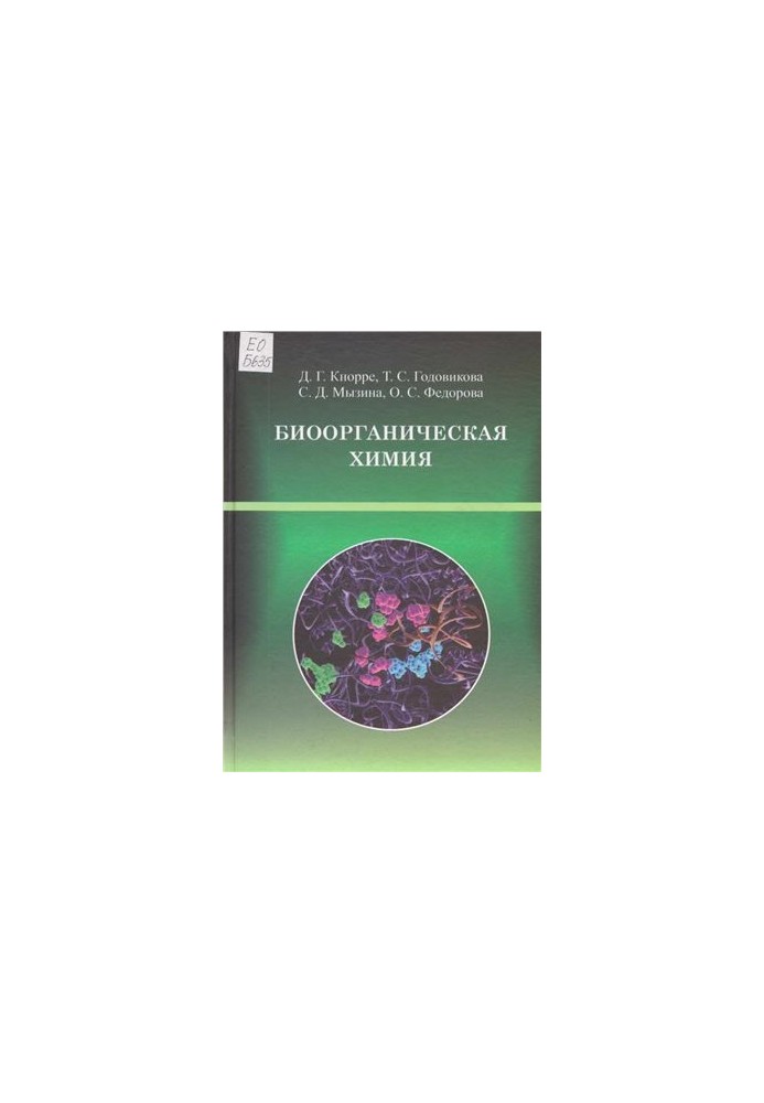 Bioorganic Chemistry