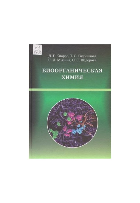 Bioorganic Chemistry