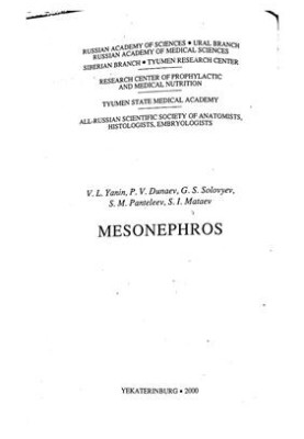 Mesonefros
