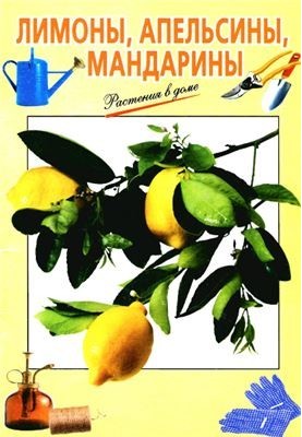 Лимони, апельсини, мандарини