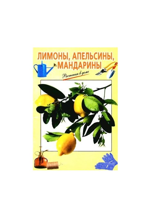 Лимони, апельсини, мандарини