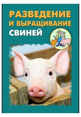 Разведение и выращивание свиней