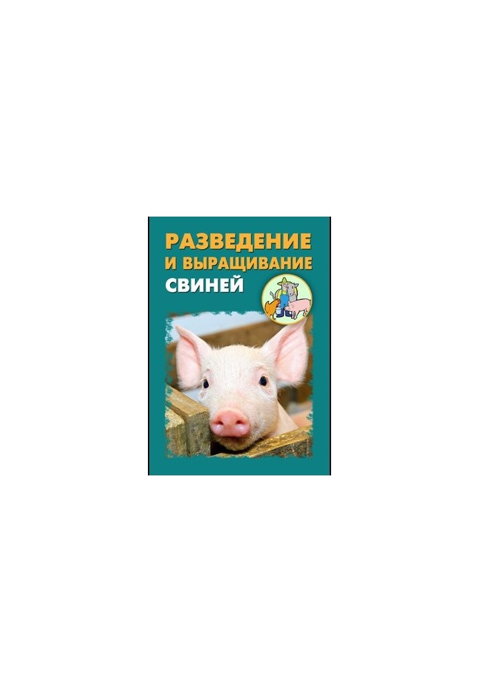 Разведение и выращивание свиней