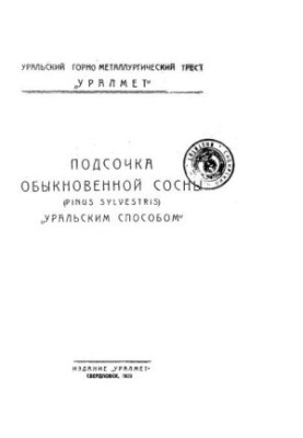 The pruning of ordinary pine (pinus sylvestris) in the Ural way