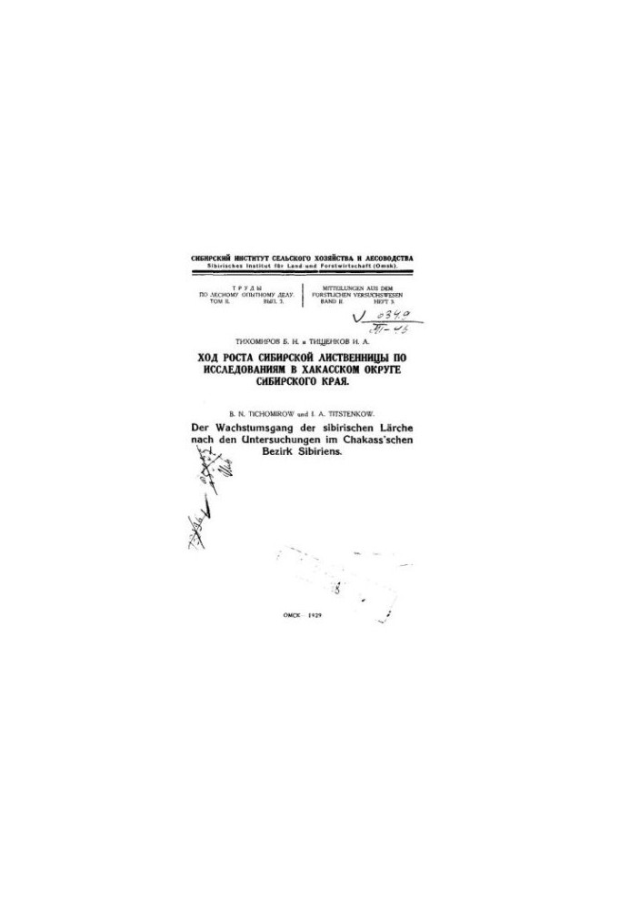 The growth of Siberian larch by research in the Khakassky district of the Siberian region