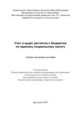 Accounting and audit of settlements with the budget on a single social tax (80.00 rubles)
