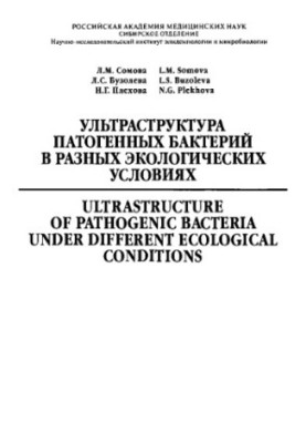 Ultrastructure of pathogenic bacteria in different environmental conditions