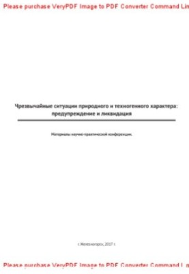 Чрезвычайные ситуации природного и техногенного характера. Предупреждение и ликвидация