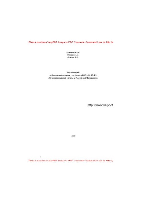 Комментарий к Федеральному закону от 2 марта 2007 г. № 25-ФЗ «О муниципальной службе в РФ»