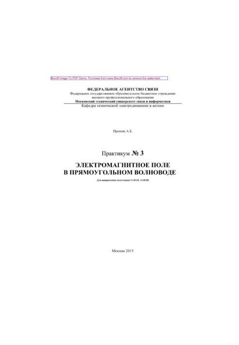 Electromagnetic field in a rectangular waveguide. Workshop No. 3
