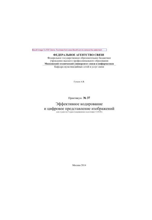Эффективное кодирование и цифровое представление изображений. Практикум № 37