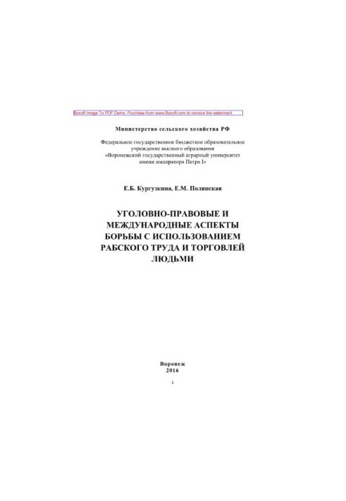 Кримінально-правові та міжнародні аспекти боротьби з використанням рабської праці та торгівлею людьми. Монографія