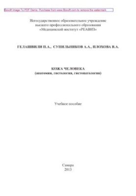 Human skin (anatomy, histology, histopathology). Tutorial