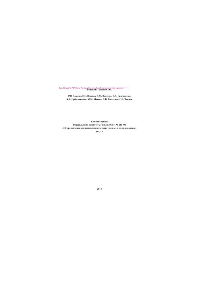 Комментарий к Федеральному закону от 27 июля 2010 г. № 210-ФЗ «Об организации предоставления государственных и муниципальных 