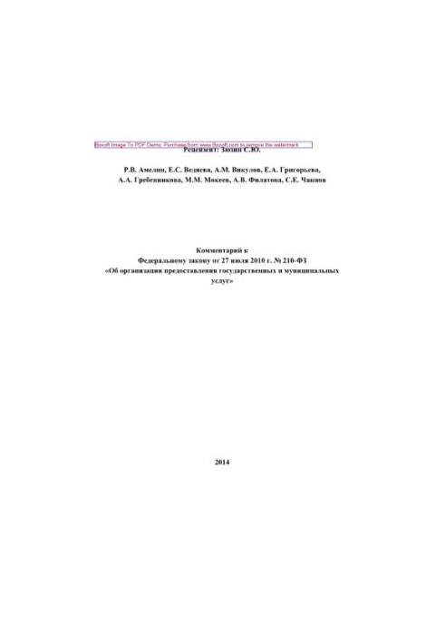 Комментарий к Федеральному закону от 27 июля 2010 г. № 210-ФЗ «Об организации предоставления государственных и муниципальных 