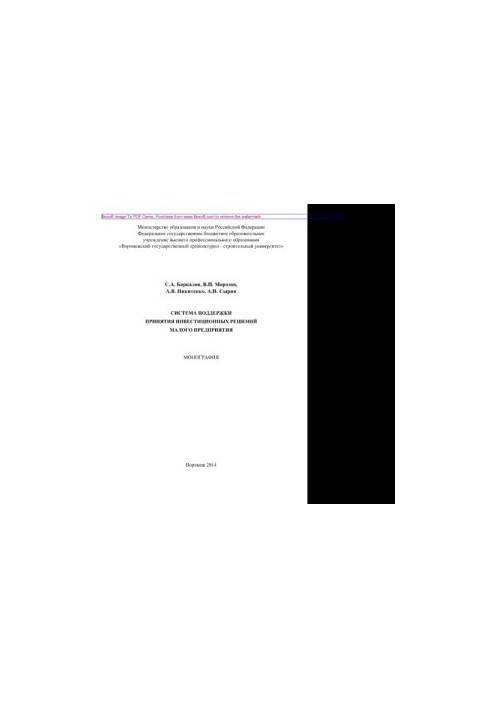 The system of support of investment decisions of a small enterprise. Monograph