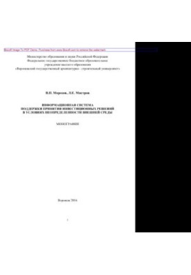Information system for supporting investment decisions in the face of uncertainty of the external environment. Monograph