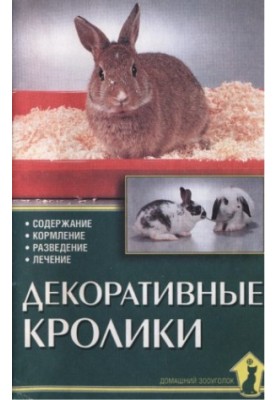 Декоративні кролики.