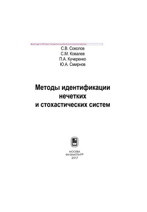 Methods of identification of fuzzy and stochastic systems