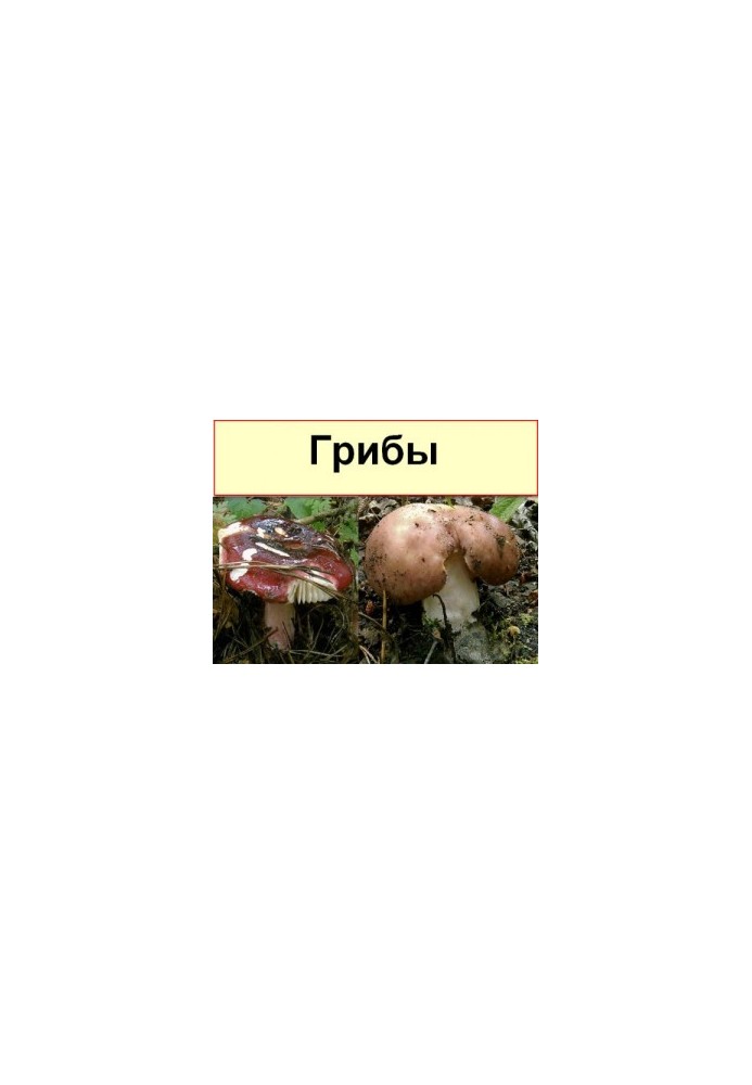 Подборка книг о грибах