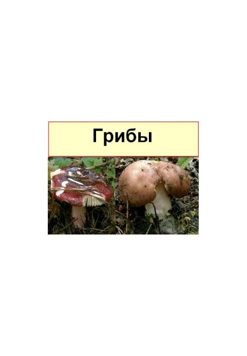 Подборка книг о грибах