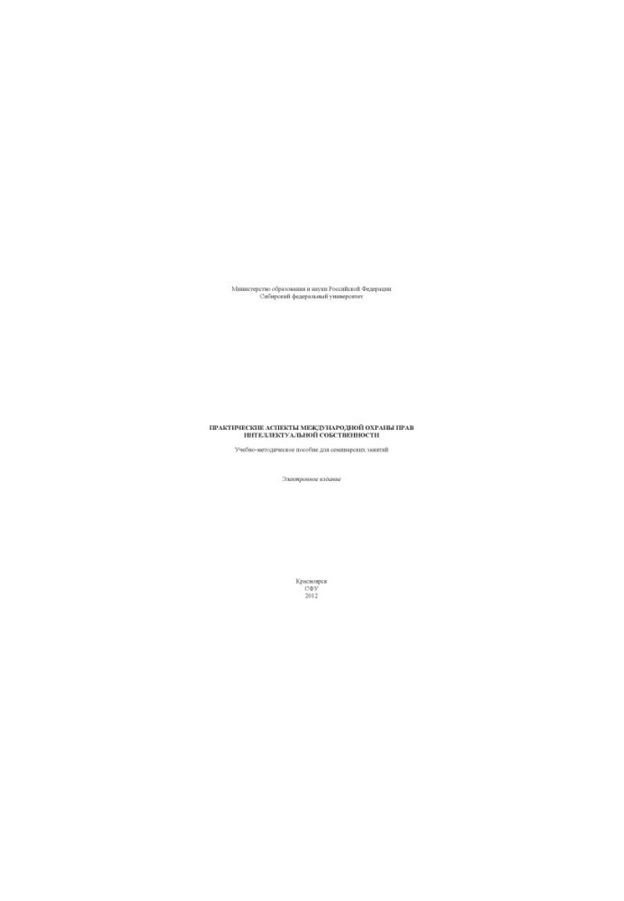 Practical aspects of the international protection of intellectual property rights